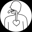 12inch Vinyl Single - DG Star / Monkey 1 - Speaking Of Love