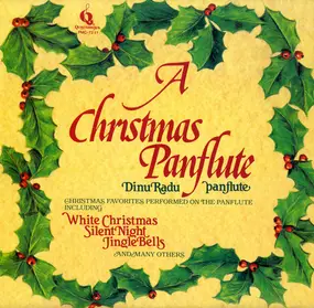 Dinu Radu - A Christmas Panflute