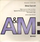 2 x 12inch Vinyl Single - Dina Carroll - Here / Special Kind Of Love / The Perfect Year - Promo copy