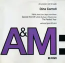 2 x 12inch Vinyl Single - Dina Carroll - Here / Special Kind Of Love / The Perfect Year