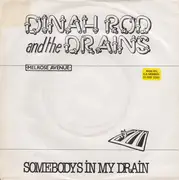 7inch Vinyl Single - Dinah Rodd & The Drains - Somebodys In My Drain