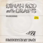 Dinah Rodd & The Drains - Somebodys In My Drain