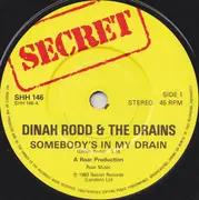 7inch Vinyl Single - Dinah Rodd & The Drains - Somebodys In My Drain