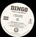 12'' - Dingo - Gold In My Mouth - RARE PROMO