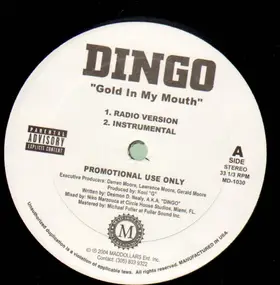 Dingo - Gold In My Mouth