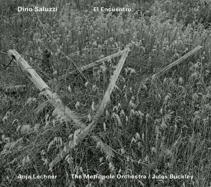 Dino Saluzzi - El Encuentro