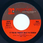 Dino, Desi & Billy - If You're Thinkin' What I'm Thinkin' / Pretty Flamingo