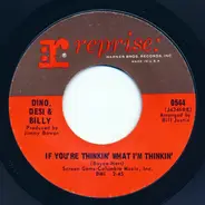 Dino, Desi & Billy - If You're Thinkin' What I'm Thinkin' / Pretty Flamingo