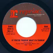 Dino, Desi & Billy - If You're Thinkin' What I'm Thinkin' / Pretty Flamingo