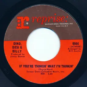 Dino, Desi & Billy - If You're Thinkin' What I'm Thinkin' / Pretty Flamingo