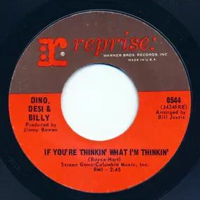Dino, Desi & Billy - If You're Thinkin' What I'm Thinkin' / Pretty Flamingo