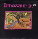 12inch Vinyl Single - Dinosaur Jr. - Little Fury Things