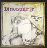 LP - Dinosaur Jr. - You're Living All Over Me - Blue Marbled