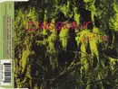 CD Single - Dinosaur Jr. - Get Me