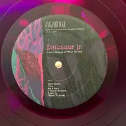 LP - Dinosaur Jr. - Give A Glimpse Of What Yer Not - Purple Translucent vinyl