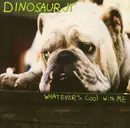 12inch Vinyl Single - Dinosaur Jr. - Whatever's Cool With Me