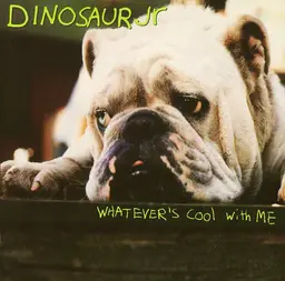 Dinosaur jr. whatevers cool with me 4