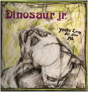 Dinosaur JR. - You're Living All Over Me