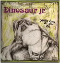LP - Dinosaur Jr. - You're Living All Over Me