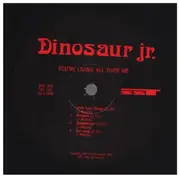 LP - Dinosaur Jr. - You're Living All Over Me