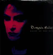 LP - Diamanda Galas - Saint of the Pit - Poster