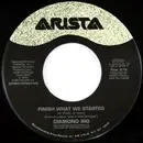 7inch Vinyl Single - Diamond Rio - Finish What We Started / Appalachian Dream