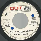 Diana Trask - Hold What You've Got