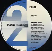 12inch Vinyl Single - Dianne Reeves - Never Too Far