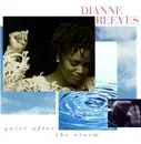 CD - Dianne Reeves - Quiet After The Storm