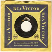 Dick Neelee - Birmingham Rag / Blue On Blue