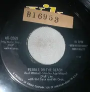 Dick Lee - Pebble On The Beach