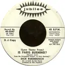 7inch Vinyl Single - Dick Ruedebusch - (Love Theme From) Is Paris Burning? - Promo