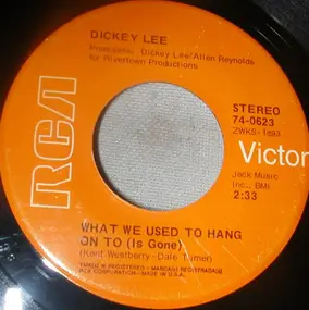 Dickey Lee - I Saw My Lady