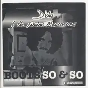 Didus And The Fabulous Mascarenes