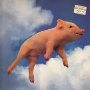 Didjits - Que Sirhan Sirhan