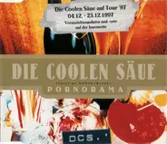 Die Coolen Säue - Pornorama