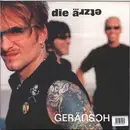 Double LP - Die Ärzte - Geräusch
