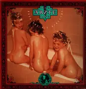 LP-Box - Die Ärzte - Live (Nach Uns Die Sintflut)