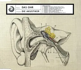 Akustiker - Das Ohr