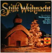 Die Aschberger Saitenmusi, Erni Hornung, Winni Spannagl, a.o. - Stille Weihnacht