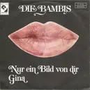 7inch Vinyl Single - Die Bambis - Nur Ein Bild Von Dir / Gina