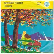 Die Belcantos / Die Terries