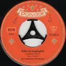 7inch Vinyl Single - Die Geschwister Fahrnberger - Alles Ist Vergänglich