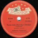 Schellack - Die Geschwister Fahrnberger - Komm Doch Rüber Über's Brückerl / Der Briefkasten-Ländler