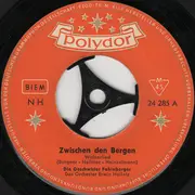 7inch Vinyl Single - Die Geschwister Fahrnberger - Zwischen Den Bergen