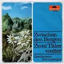 7inch Vinyl Single - Die Geschwister Fahrnberger - Zwischen Den Bergen