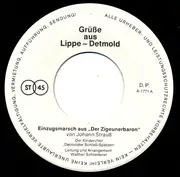 7inch Vinyl Single - Die Detmolder Schloßspatzen - Grüße Aus Lippe-Detmold