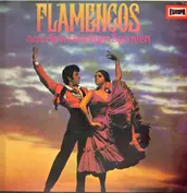 Die Flamenco-Gruppe 'Antonio Arenas'