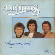 7inch Vinyl Single - Die Flippers - Sommerwind