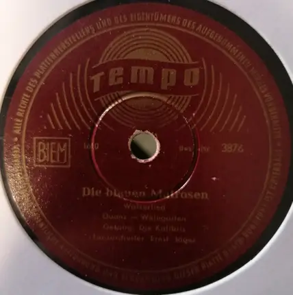 Die Kolibris - Koli-Kolibri Aus Tahiti / Die Blauen Matrosen